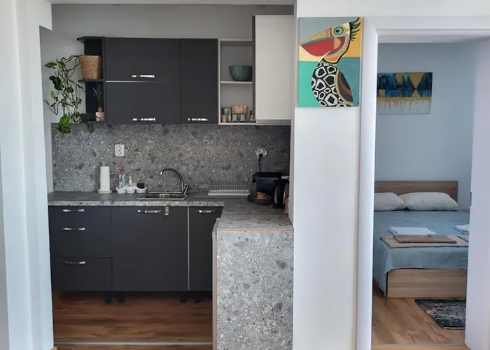 Апартаменты Sisi Art